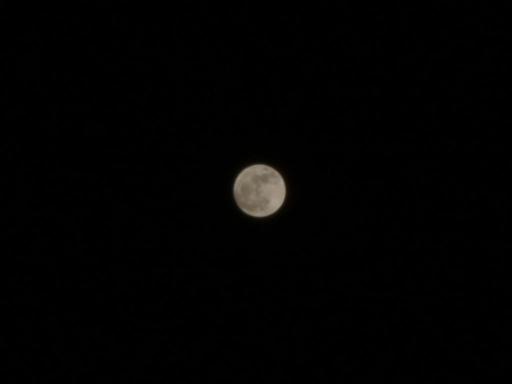 f0008005_20335461.jpg