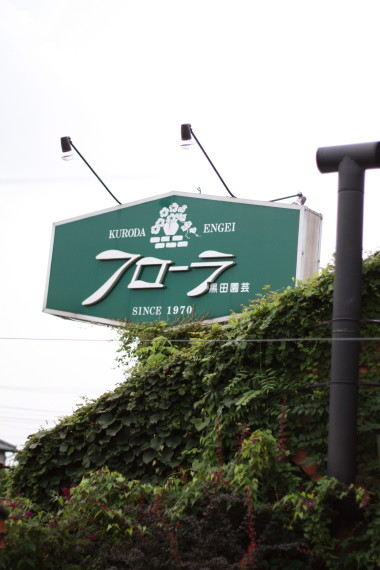 b0129008_10133027.jpg