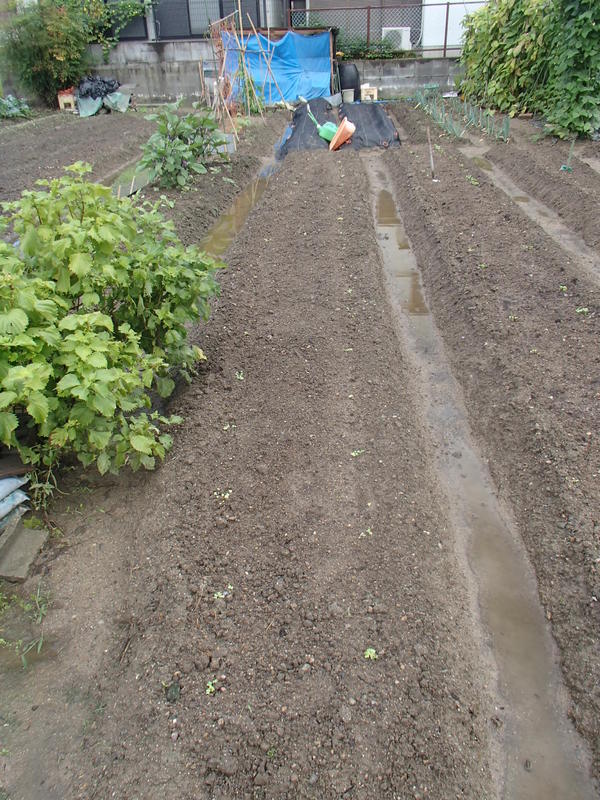 c0165909_17304865.jpg