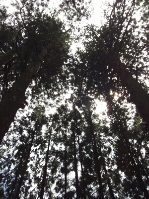 c0196611_22572658.jpg