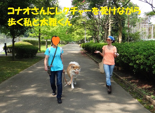 f0121712_15112024.jpg