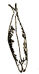 e0157816_17220090.gif