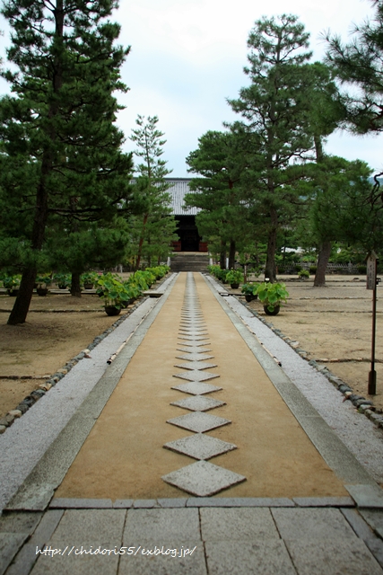 a0170321_1371826.jpg