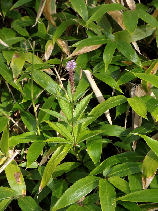 f0330321_21432912.jpg