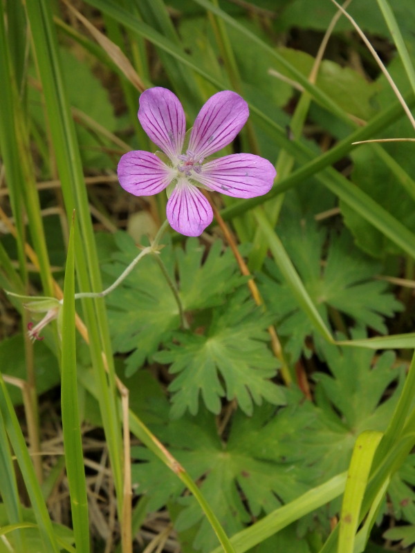 f0330321_2144090.jpg