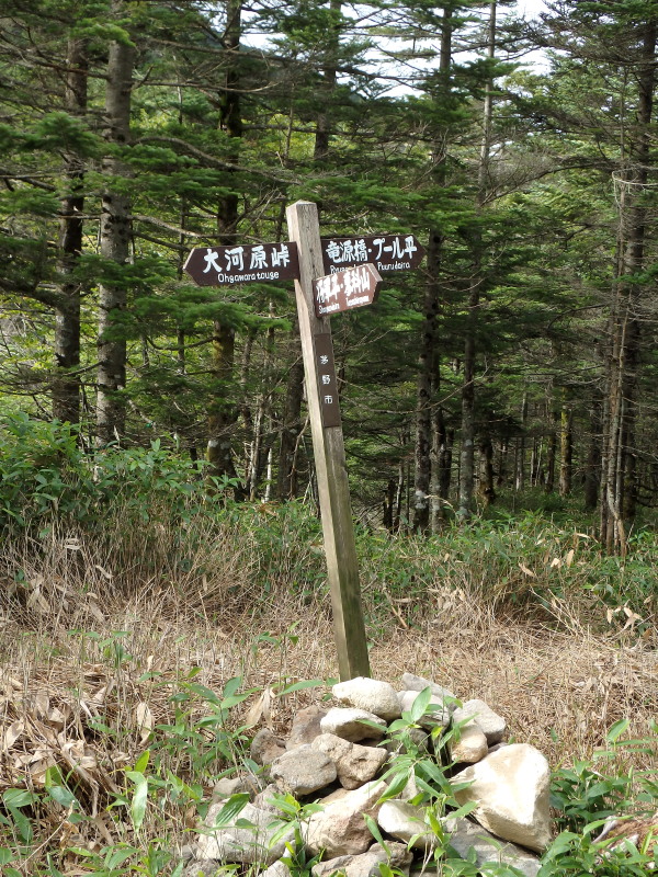f0330321_21492858.jpg
