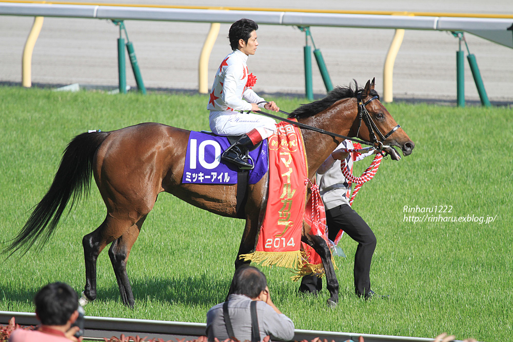 2014.5.11 東京競馬場☆ミッキーアイル【Thoroughbred】_f0250322_19374496.jpg