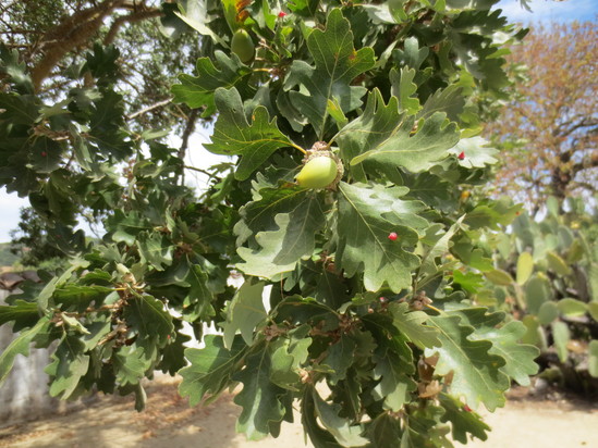 e0131324_211457.jpg