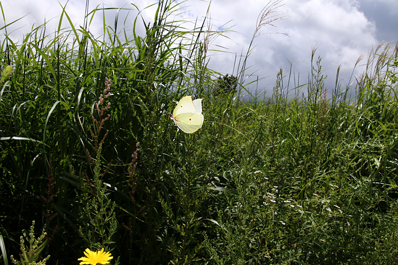 d0054625_9284652.jpg