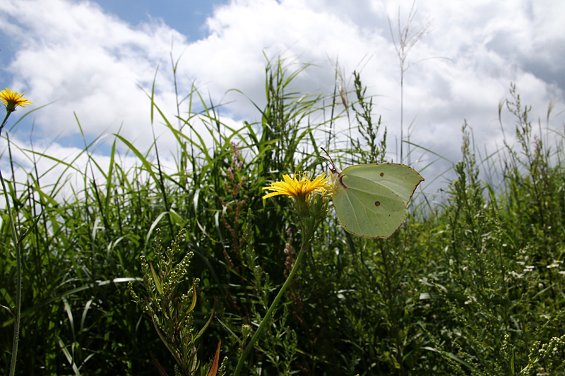 d0054625_9284974.jpg