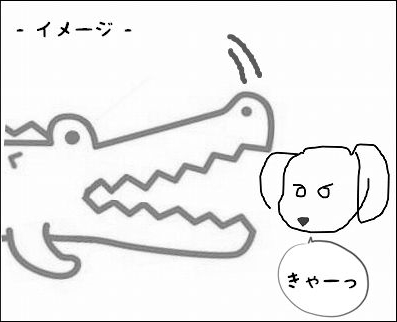 ペロっち vs. お蕎麦さん。_d0179828_14444838.jpg
