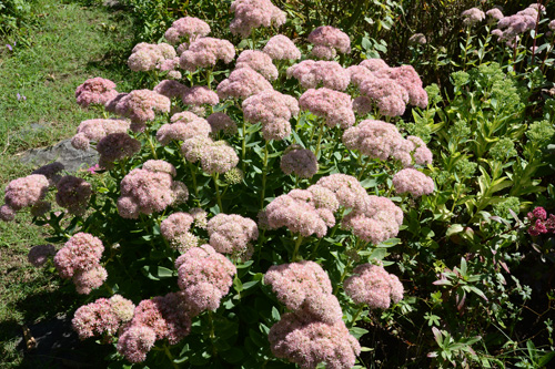 c0107129_21552615.jpg