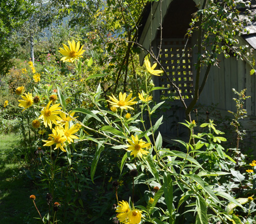 c0107129_2157237.jpg