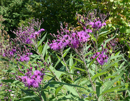 c0107129_21581783.jpg