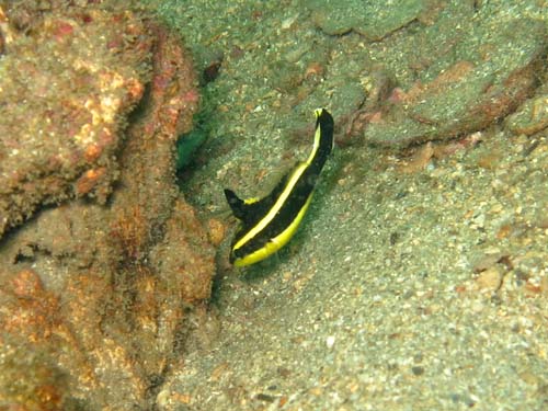 2014年9月7日(日・晴れのち曇り)甲浦_d0164831_1722169.jpg
