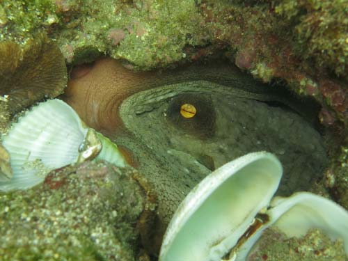 2014年9月7日(日・晴れのち曇り)甲浦_d0164831_17223549.jpg