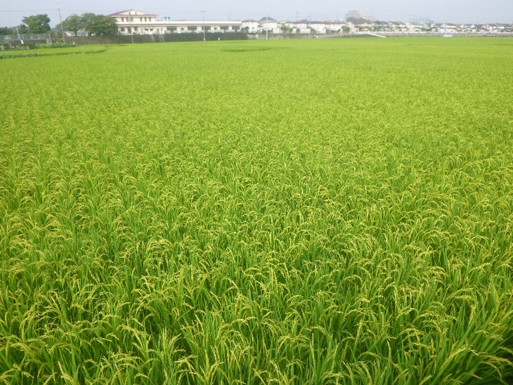 c0113733_22542388.jpg