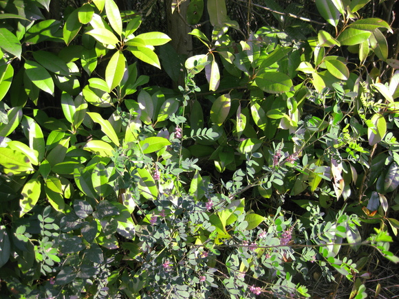 c0209334_2238141.jpg