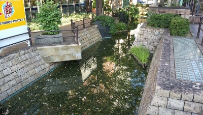 c0017046_21391049.jpg