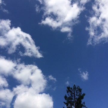 e0100046_16523139.jpg