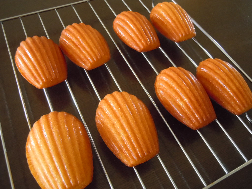 イルプルーのマドレーヌ Bonjour