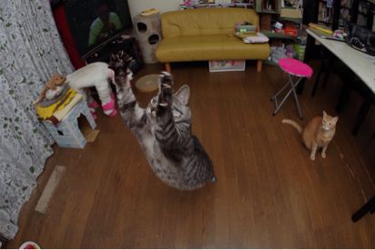 重量級が跳ぶ！_a0028451_22324588.jpg