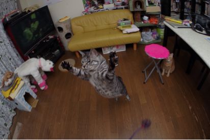 重量級が跳ぶ！_a0028451_22324745.jpg