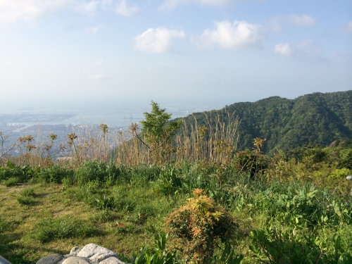 f0326751_06250643.jpg