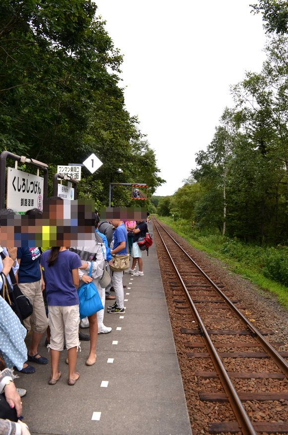 釧路湿原細岡展望台とぎゅうぎゅう詰めのノロッコ号:ダイヤモンドプリンセス乗船記19_f0054556_144981.jpg