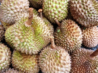 世界一臭い食べ物_a0132757_1451532.jpg