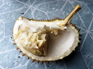 世界一臭い食べ物_a0132757_14522211.jpg