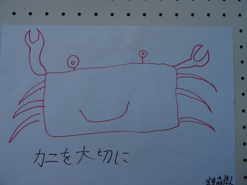 『カニカニウォッチング』 in 「第2回せんなん里海さくらフェス」 by (TATE-misaki)_c0108460_23344529.jpg