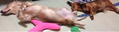 秋と言えば……_b0328361_7561660.jpg