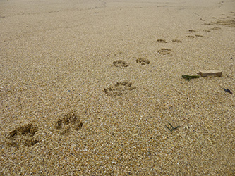 b0057675_13505579.jpg