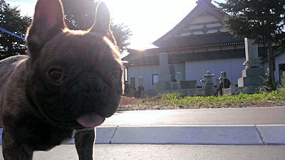 b0056476_20581573.jpg