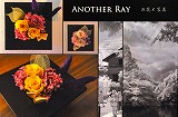 画室1と画室2_e0045977_19552532.jpg