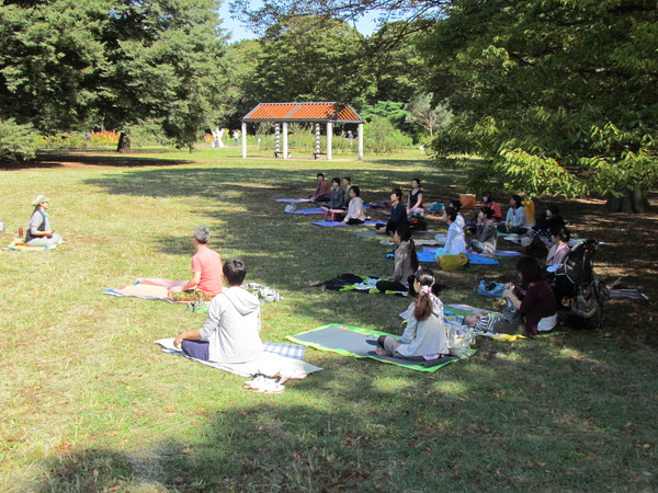 中止 9月20日 土 公園ヨガ 代々木公園 湘南ゆるゆるトネリコじかん