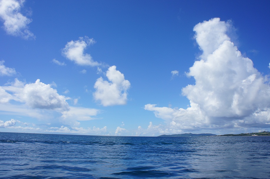f0214479_21423765.jpg