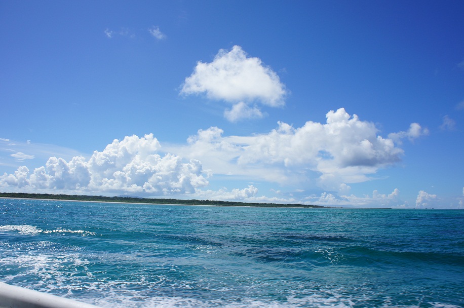 f0214479_21443941.jpg