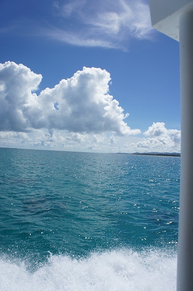 f0214479_214718.jpg