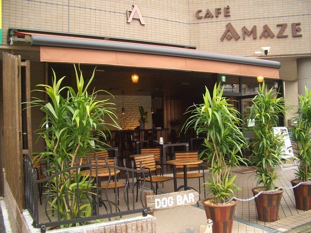 Cafe Amaze 八王子みなみ野 アルバイト 社員募集 東京カフェマニア カフェのニュース