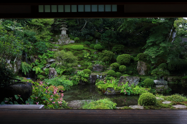 実光院_e0051888_5345451.jpg