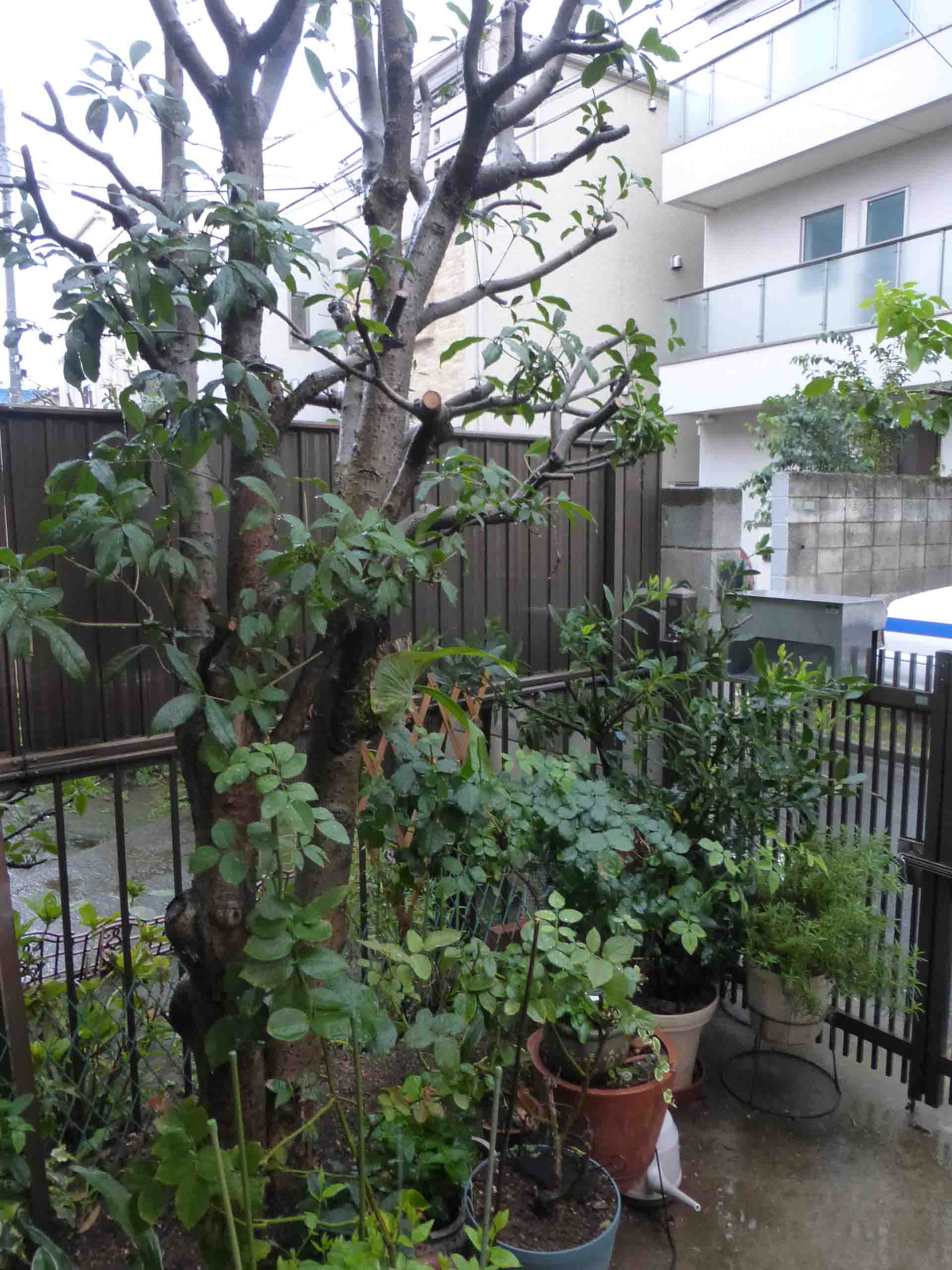 b0349589_8572339.jpg