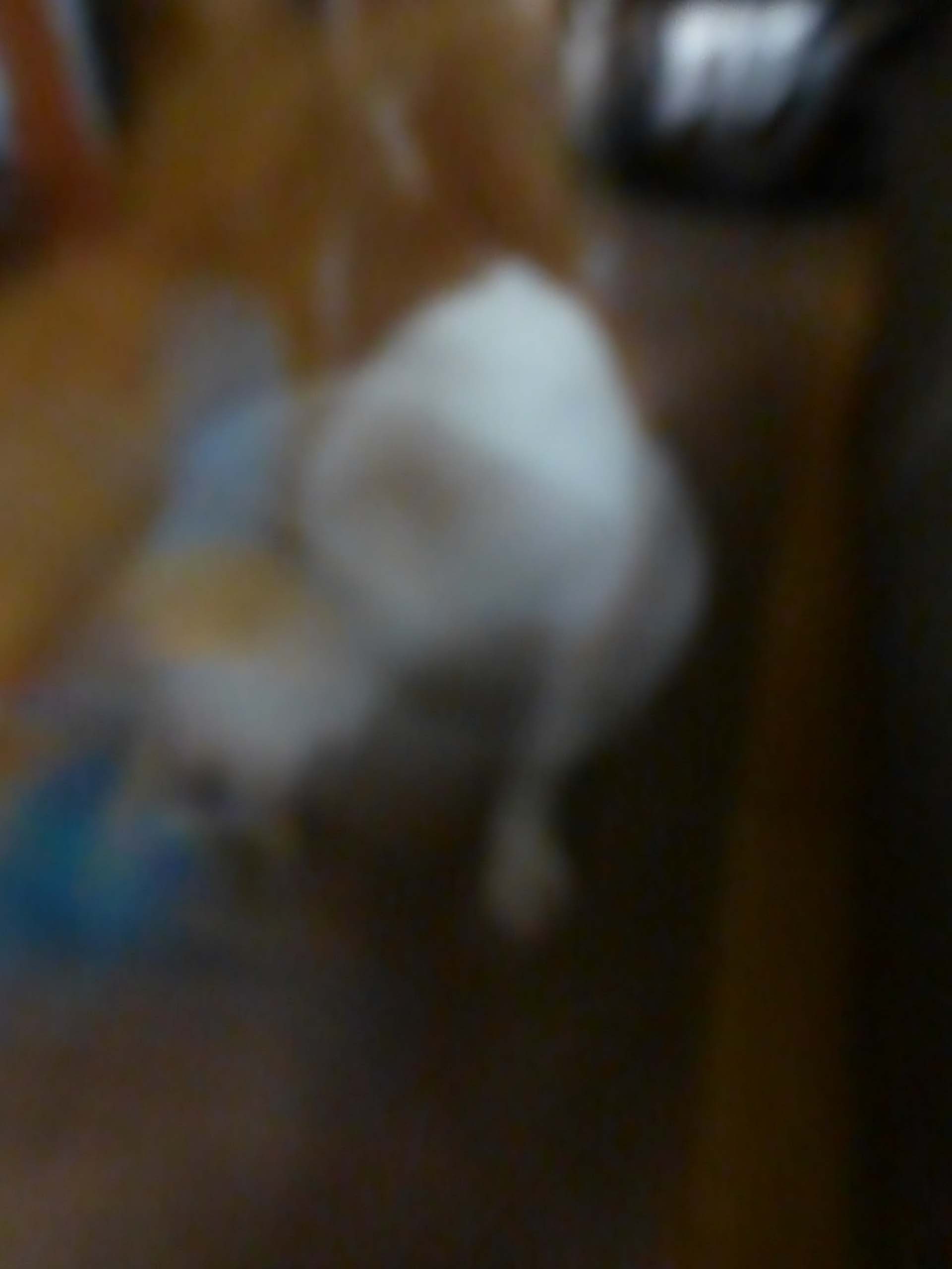 b0349589_8573840.jpg
