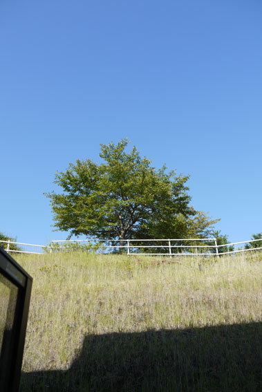 夏日、青空、ひと休み_f0316989_16183014.jpg