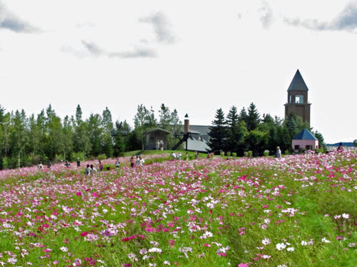 b0348195_1551929.jpg