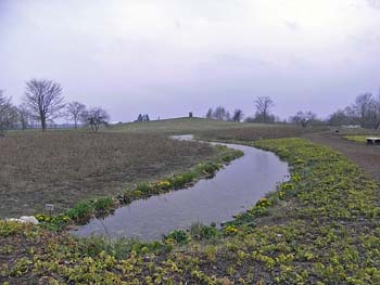 b0348195_1652959.jpg