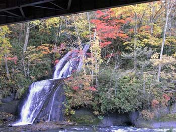 b0348195_85515.jpg