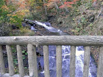 b0348195_855176.jpg