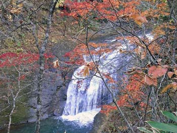 b0348195_85524.jpg